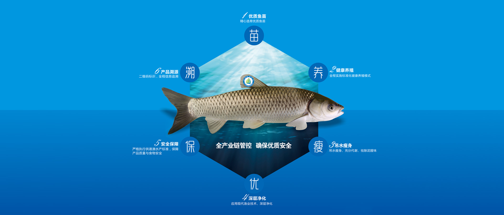 品牌專區