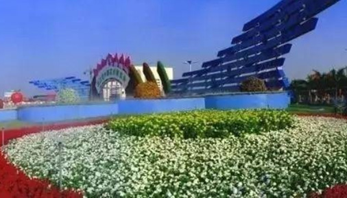 贊！廣東省重點農(nóng)業(yè)龍頭企業(yè)名單出爐！順德14家企業(yè)入選！