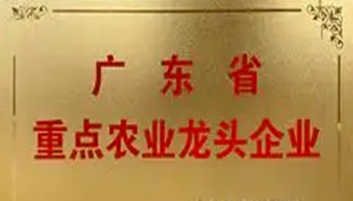 鄉村振興再添力量！66家佛山企業獲評省重點農業龍頭企業
