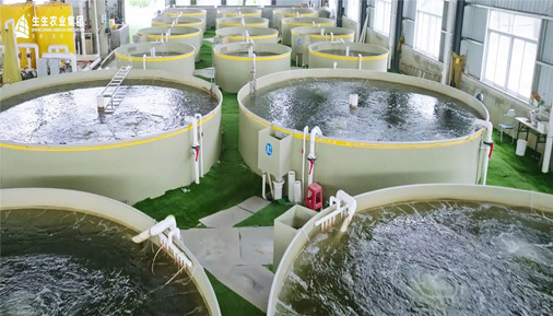 水產品年產超10萬噸、供港澳活魚年銷超10億、幫扶超1萬戶農戶產出數十億……生生農業集團如何與全產業鏈實現相互賦能？