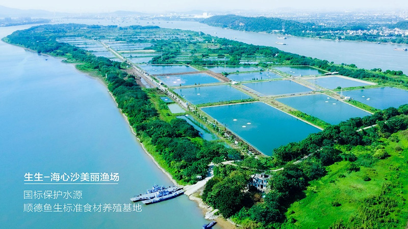 喜訊！生生獲評“國家級水產健康養殖和生態養殖示范區”