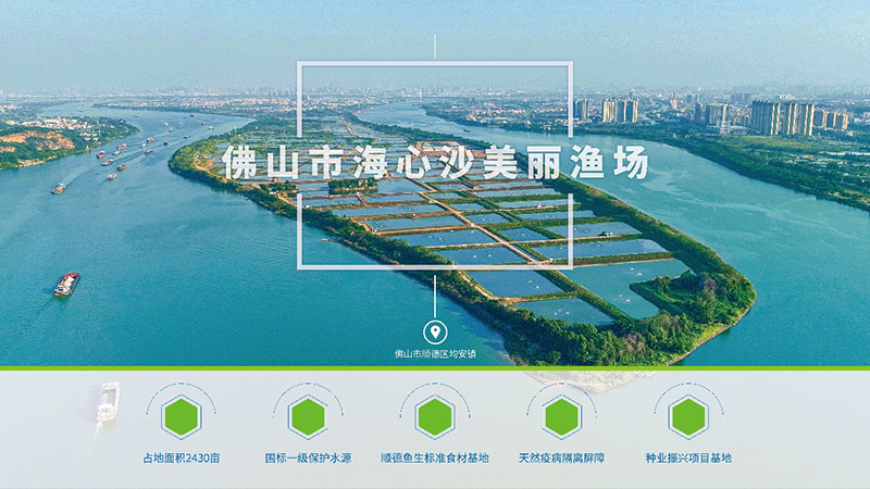 行情低迷，草魚越養越沒信心？他們竟然養出可以生吃的淡水魚，讓其身價倍增